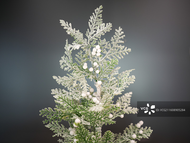 装饰着精美饰品的圣诞树图片素材