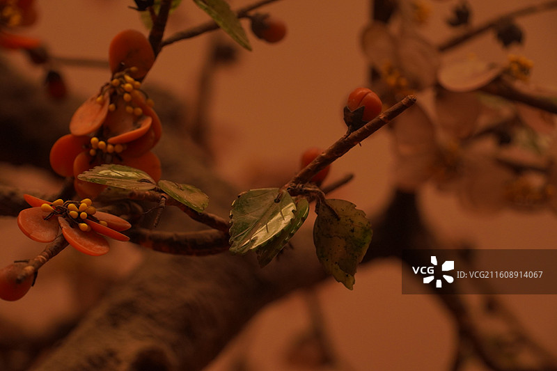 上海博物馆珐琅彩特展图片素材