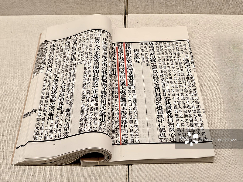 《春秋繁露义证》〔汉〕董仲舒撰〔清]苏舆注 清宣统二年(1910)刻本 民族文化宫藏图片素材