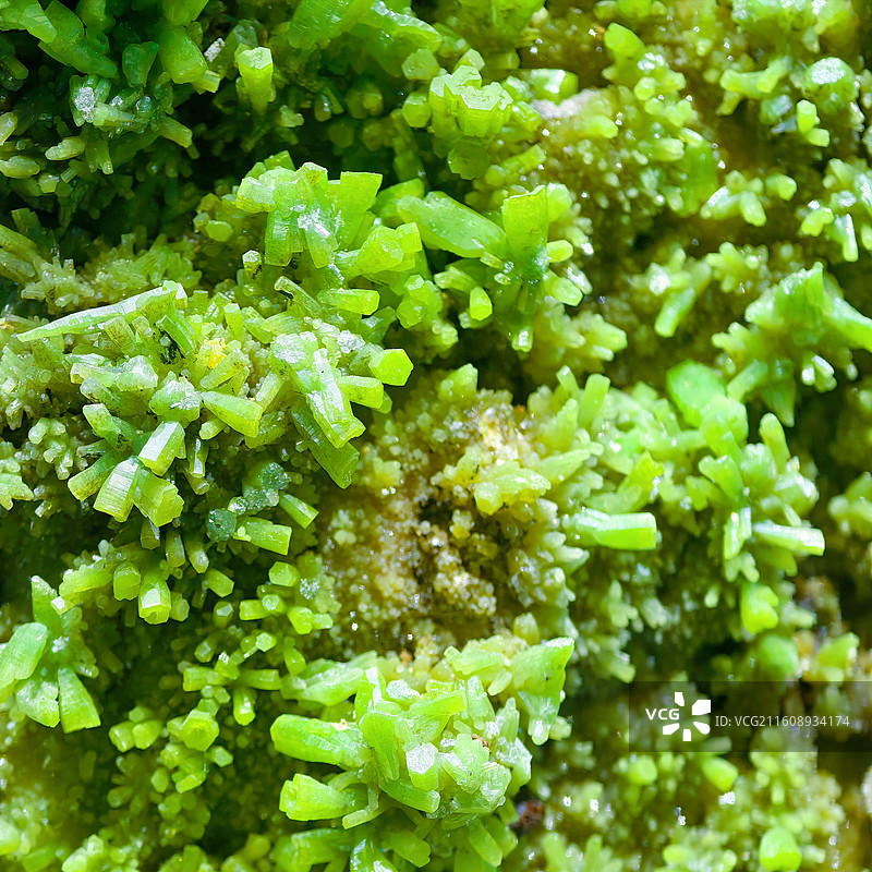 广西自然资源博物馆磷氯铅矿图片素材