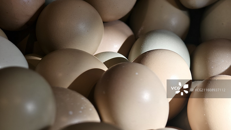 农家走地鸡鸡蛋特写图片素材