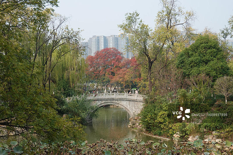 陕西省西安市碑林区兴庆宫公园兴庆湖秋景：鸳鸯桥红叶彩林图片素材