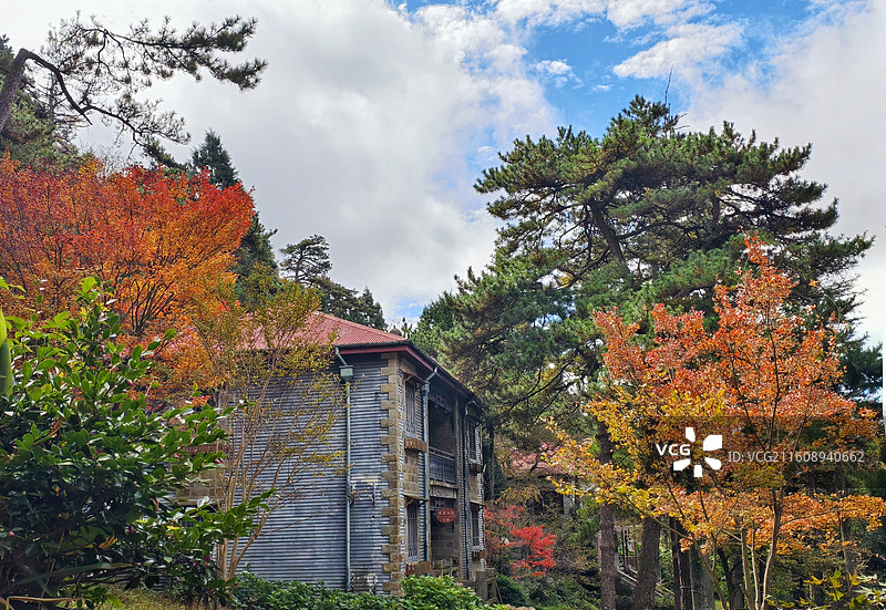 彩叶裹美庐一彩叶漫过檐角，把美庐裹进秋的颜色里，好美啊！图片素材