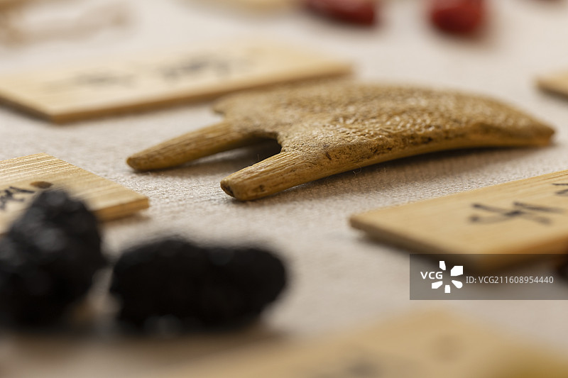 中药材鳖甲图片素材