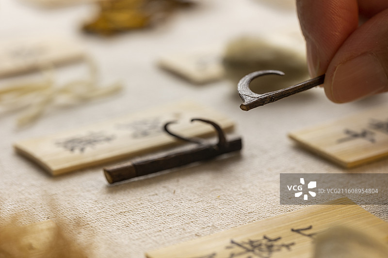 手拿中药材钩藤特写图片素材