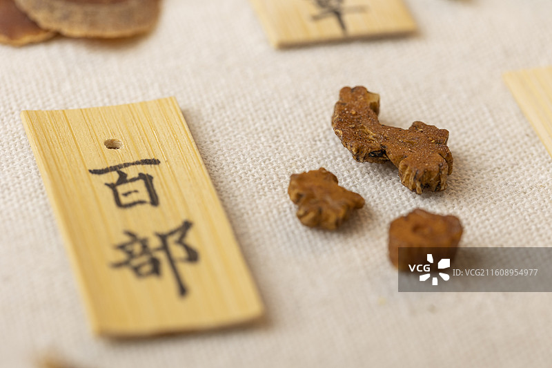 中药材百部图片素材