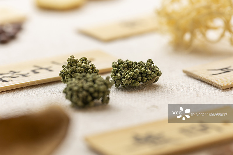 中药材三七花图片素材