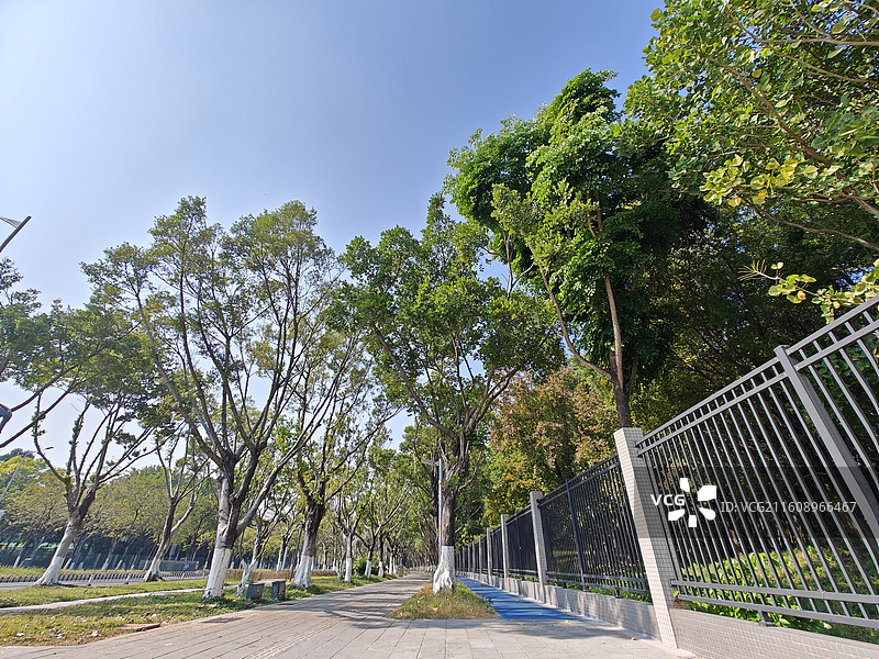 广州大学城广工校区外绿道一景图片素材