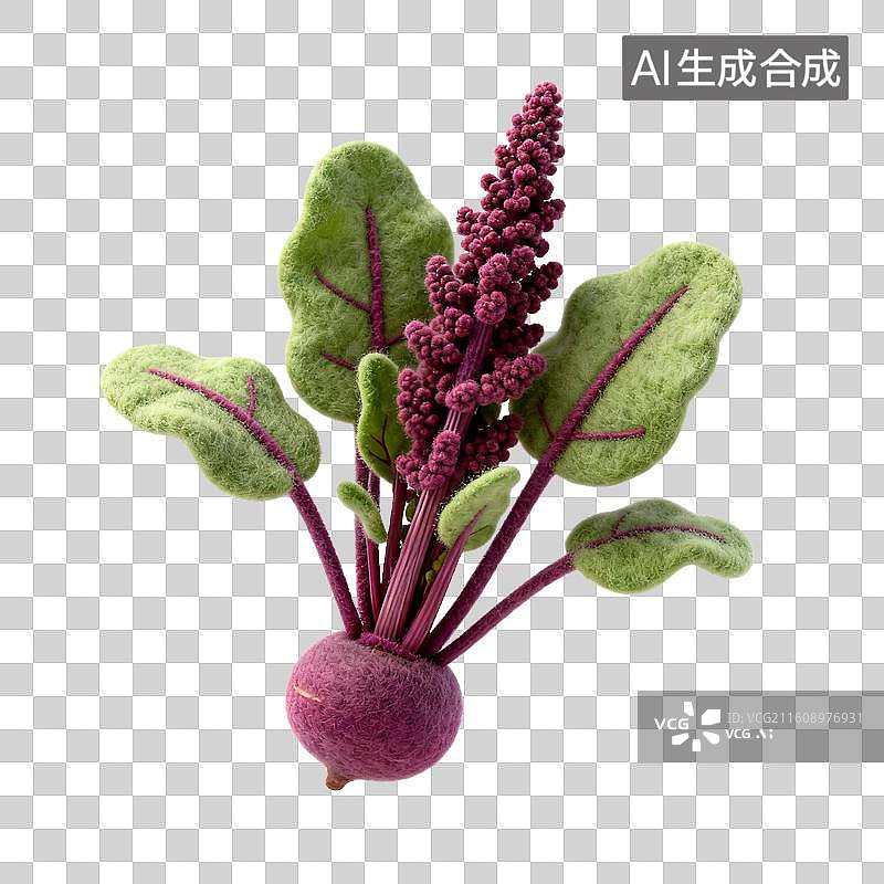 【AI数字艺术】手工毛毡制作的紫色甜菜图片素材