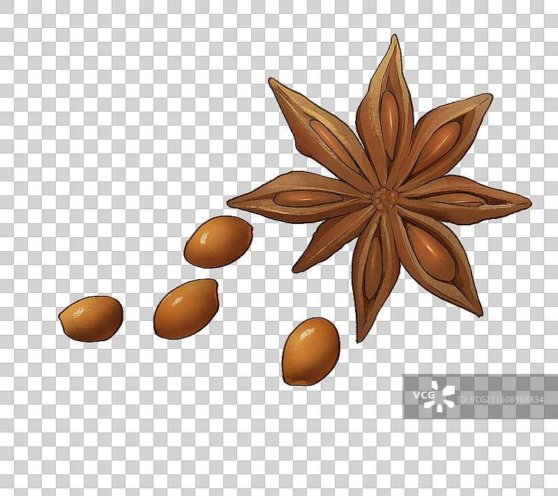 八角茴香图片素材