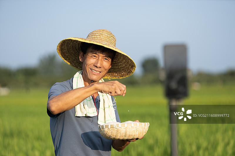中国农民稻田间直播卖货农产品图片素材