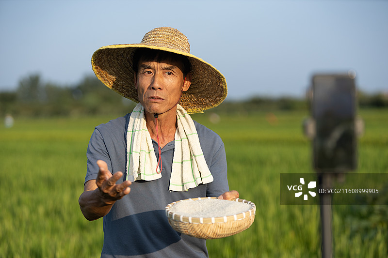 中国农民稻田间直播卖货农产品图片素材