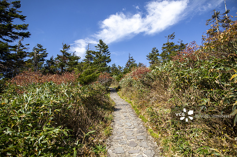 日本岩手县八幡平的风光图片素材