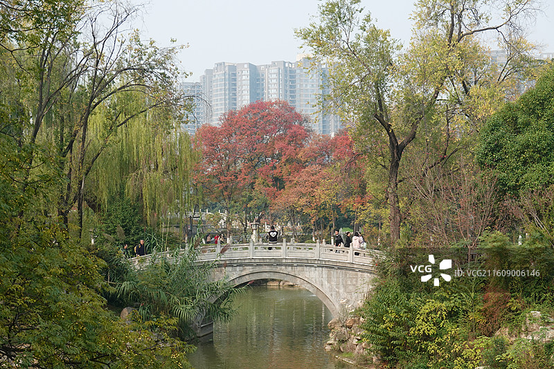 陕西省西安市碑林区兴庆宫公园兴庆湖秋景：鸳鸯桥红叶彩林图片素材