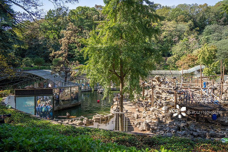 红山动物园猴山图片素材