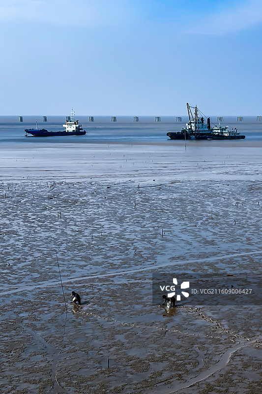 浙江台州路桥金清海边滩涂图片素材