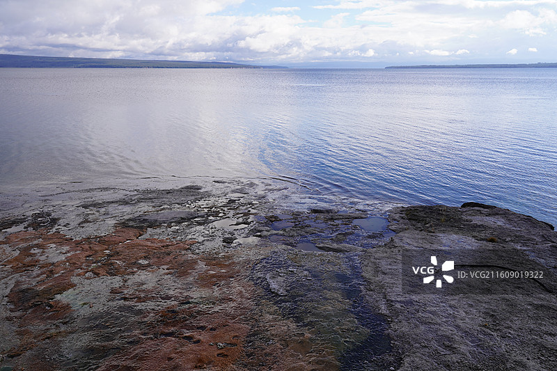 美国黄石公园的秋日美景 加拿大鹅成群结队飞过彩叶林和湖泊 雪山在远方 涌出滚烫泉水的五彩池和日光狂热图片素材