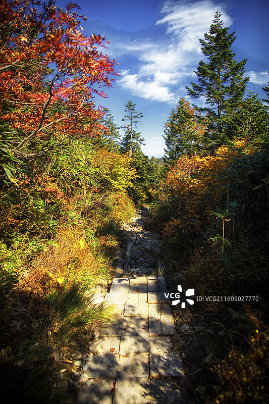 日本岩手县八幡平的风光图片素材