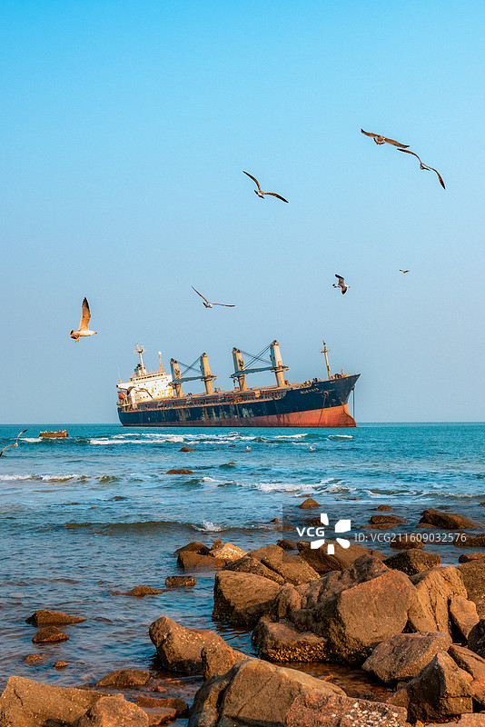 微风 海鸥 礁石 与布鲁维斯图片素材