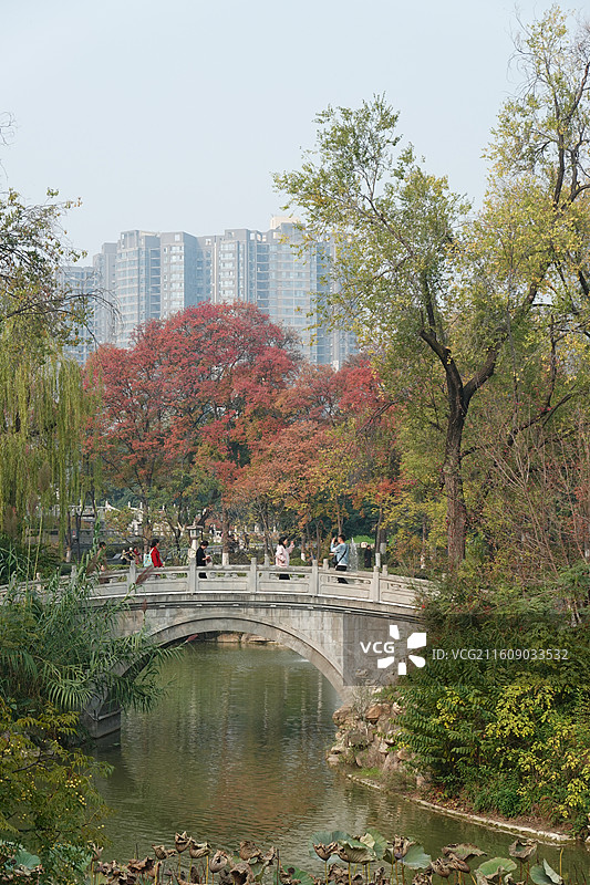 陕西省西安市碑林区兴庆宫公园兴庆湖秋景：鸳鸯桥红叶彩林图片素材