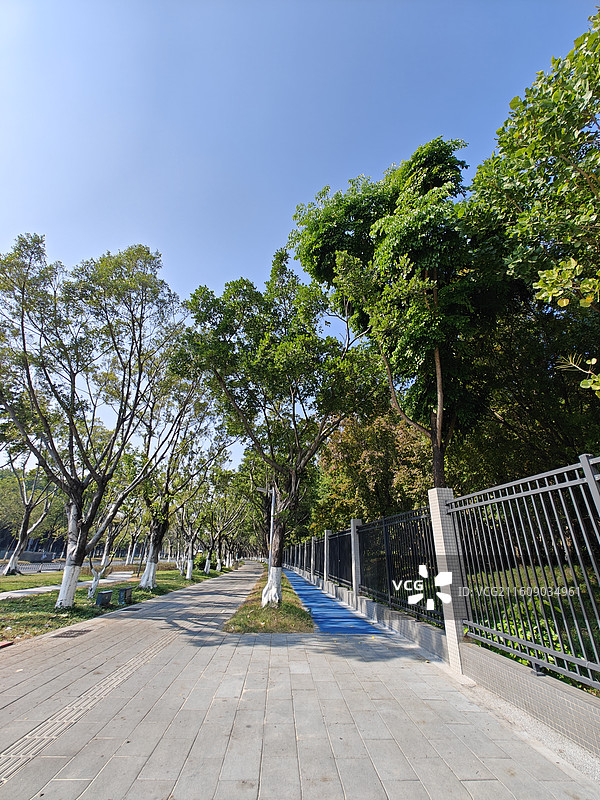 广州大学城广工校区外绿道景观图片素材