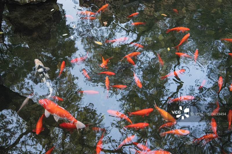 恭王府图片素材