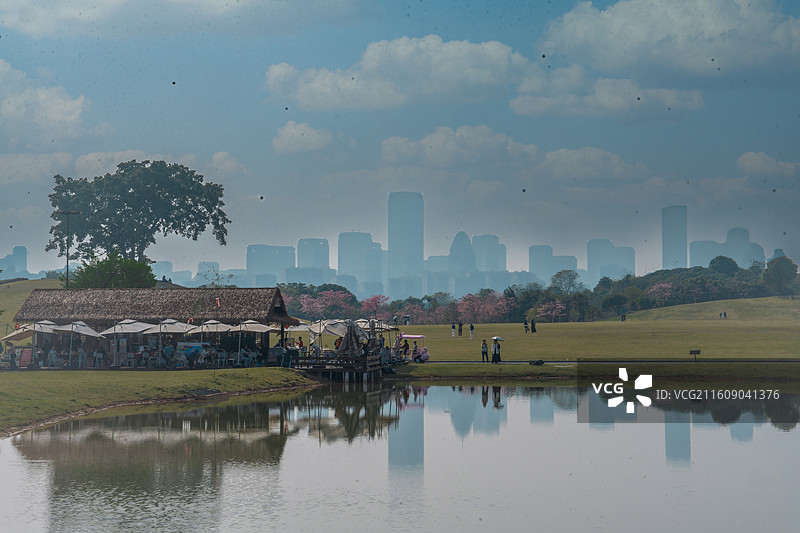 广西文旅南宁青秀山2025年秋天菊花展图片素材