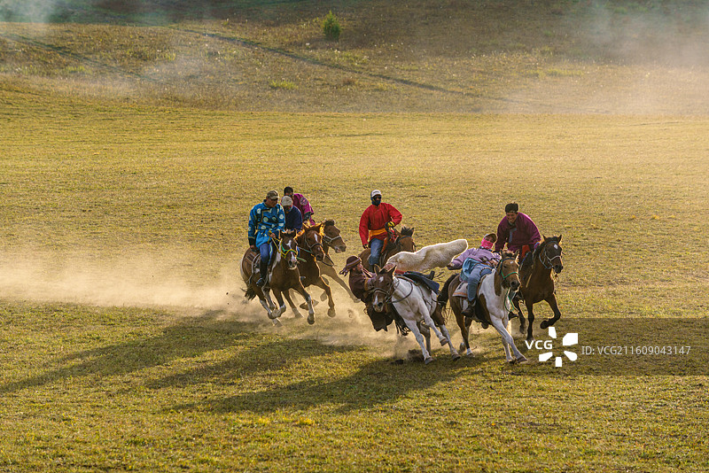 内蒙古坝上乌兰布统万马奔腾图片素材