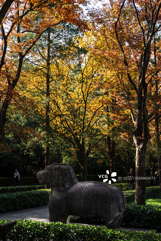 明孝陵图片素材