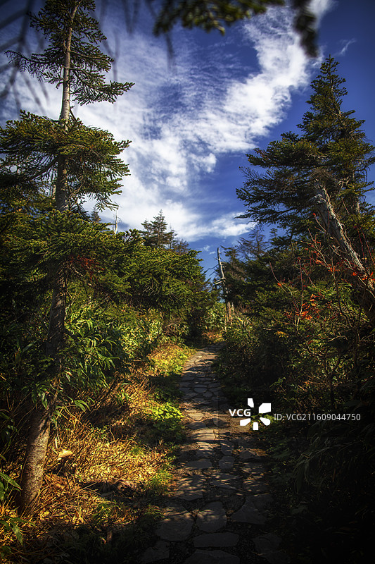 日本岩手县八幡平的风光图片素材