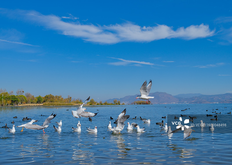 大理洱海图片素材