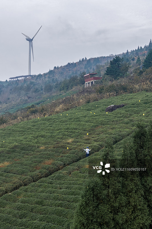 金华市东阳市东白山秋冬天景色图片素材