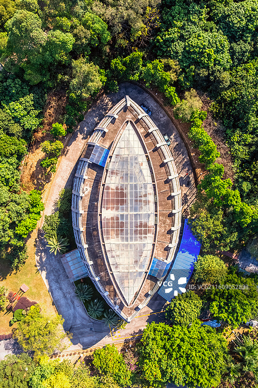 搁浅在森林里的飞船图片素材