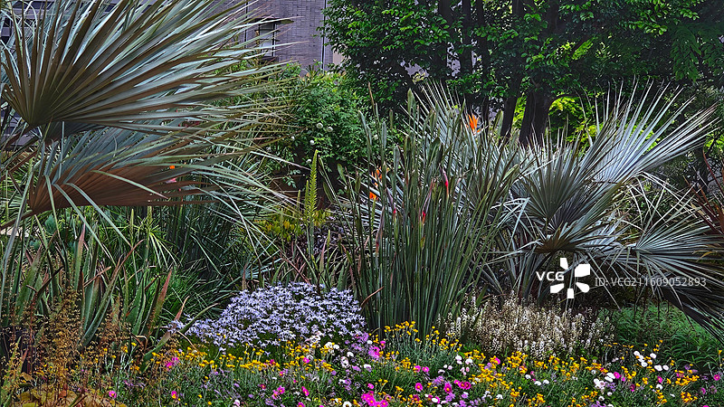 日本大阪难波公园是集购物、办公于一体的综合体，外观如斜坡公园，绿植丰富，设计独特图片素材