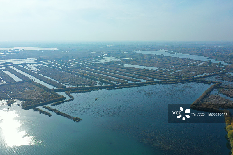 碧水连天映霞光，野鸭掠舞芦花黄  俯身临岸观舟远，银杏红叶风里扬  千岛万湖织洋淀，生态画卷韵悠长图片素材