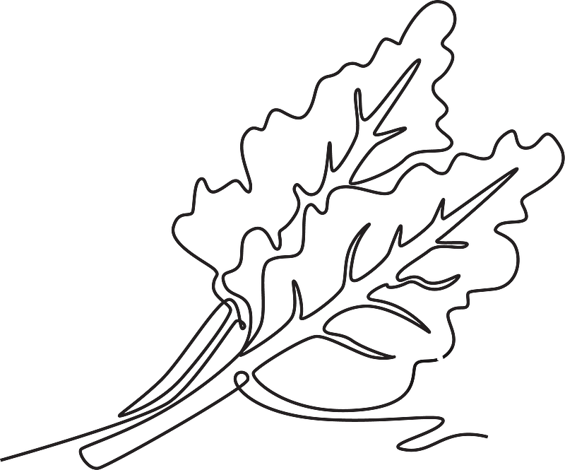 单一连续线画，整体健康图片素材