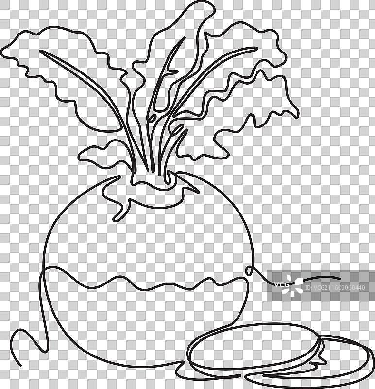 单线条画，一个完整的、切开的健康的水果图片素材