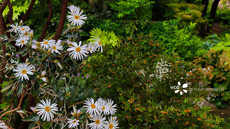 日本大阪难波公园是集购物、办公于一体的综合体，外观如斜坡公园，绿植丰富，设计独特图片素材