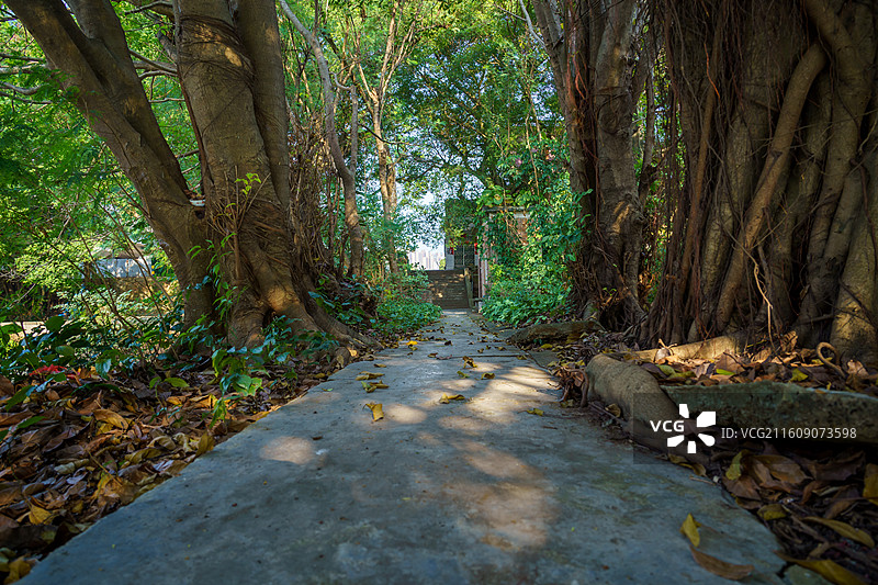 肇庆市鼎湖新区周边水乡景色，河埠头特写图片素材