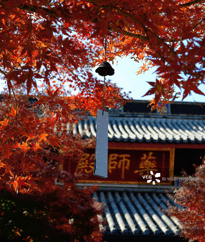 观宗禅寺红叶图片素材