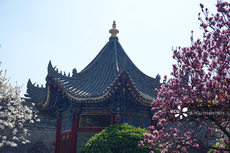 陕西省西安市莲湖区玉祥门广仁寺喇嘛庙：康熙碑亭和玉兰花开图片素材