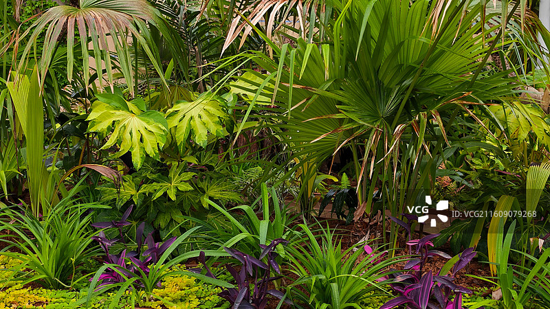 日本大阪难波公园是集购物、办公于一体的综合体，外观如斜坡公园，绿植丰富，设计独特图片素材