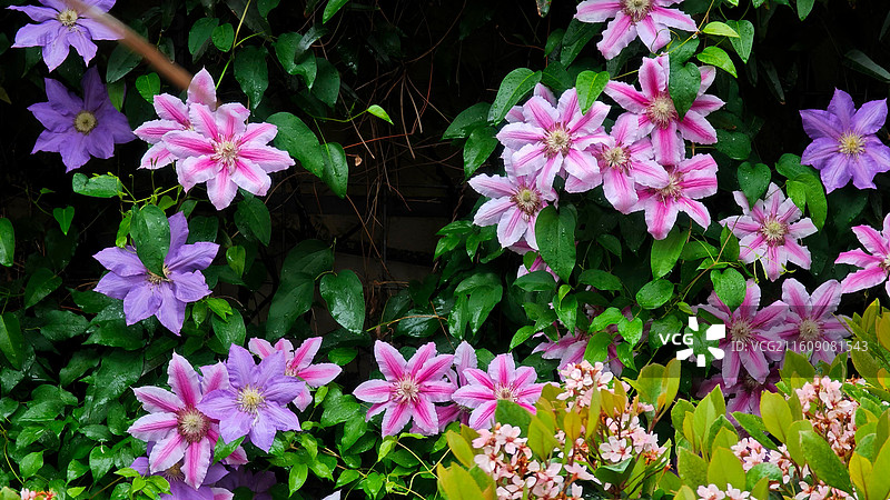 日本大阪难波公园是集购物、办公于一体的综合体，外观如斜坡公园，绿植丰富，设计独特图片素材