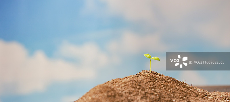 春天从土壤中长出的种子绿芽嫩芽破土生长图片素材