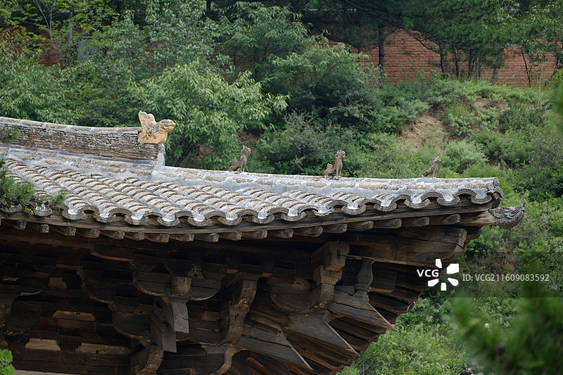 山西五台山佛光寺文殊殿屋顶上的鸱吻图片素材