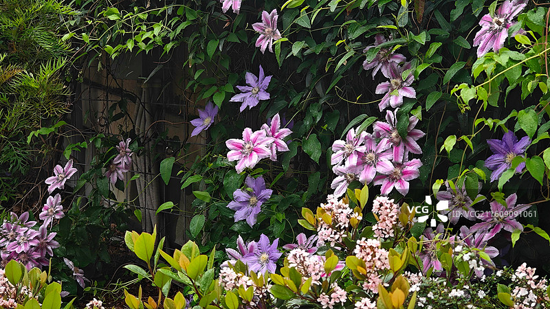 日本大阪难波公园是集购物、办公于一体的综合体，外观如斜坡公园，绿植丰富，设计独特图片素材