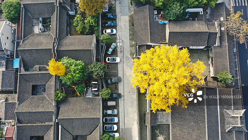 俯瞰扬州八怪纪念馆图片素材