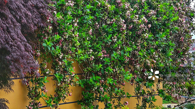 日本大阪难波公园是集购物、办公于一体的综合体，外观如斜坡公园，绿植丰富，设计独特图片素材