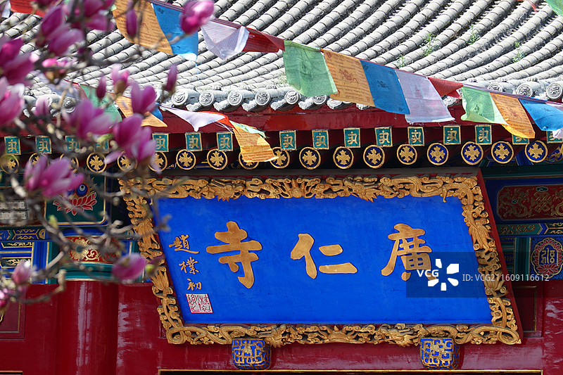 陕西省西安市莲湖区玉祥门广仁寺喇嘛庙：玉兰花开图片素材