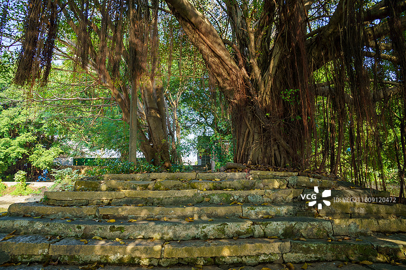 肇庆市鼎湖新区周边水乡景色，河埠头特写图片素材